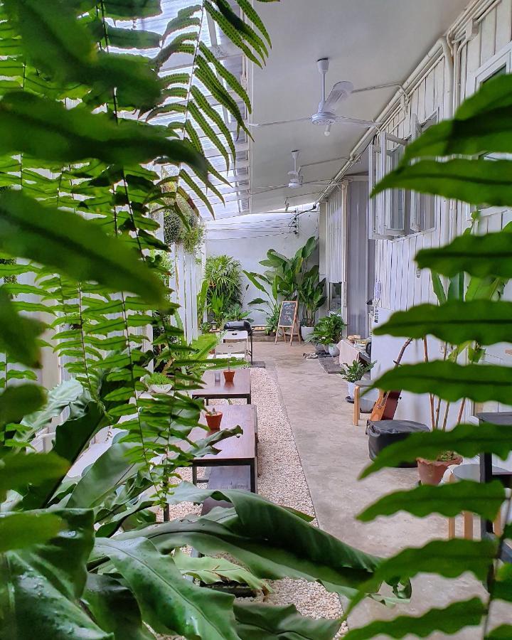 The Park Society Vandrehjem Chiang Mai Eksteriør billede